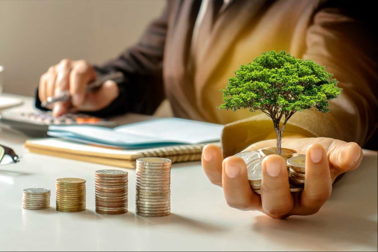 investimento